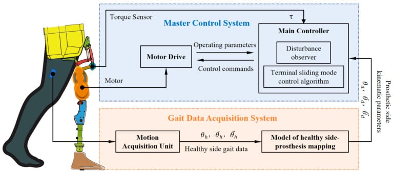 System diagram of a powered hip-disarticulation prosthesis integrating gait sensing, motor control and a prosthetic knee.
