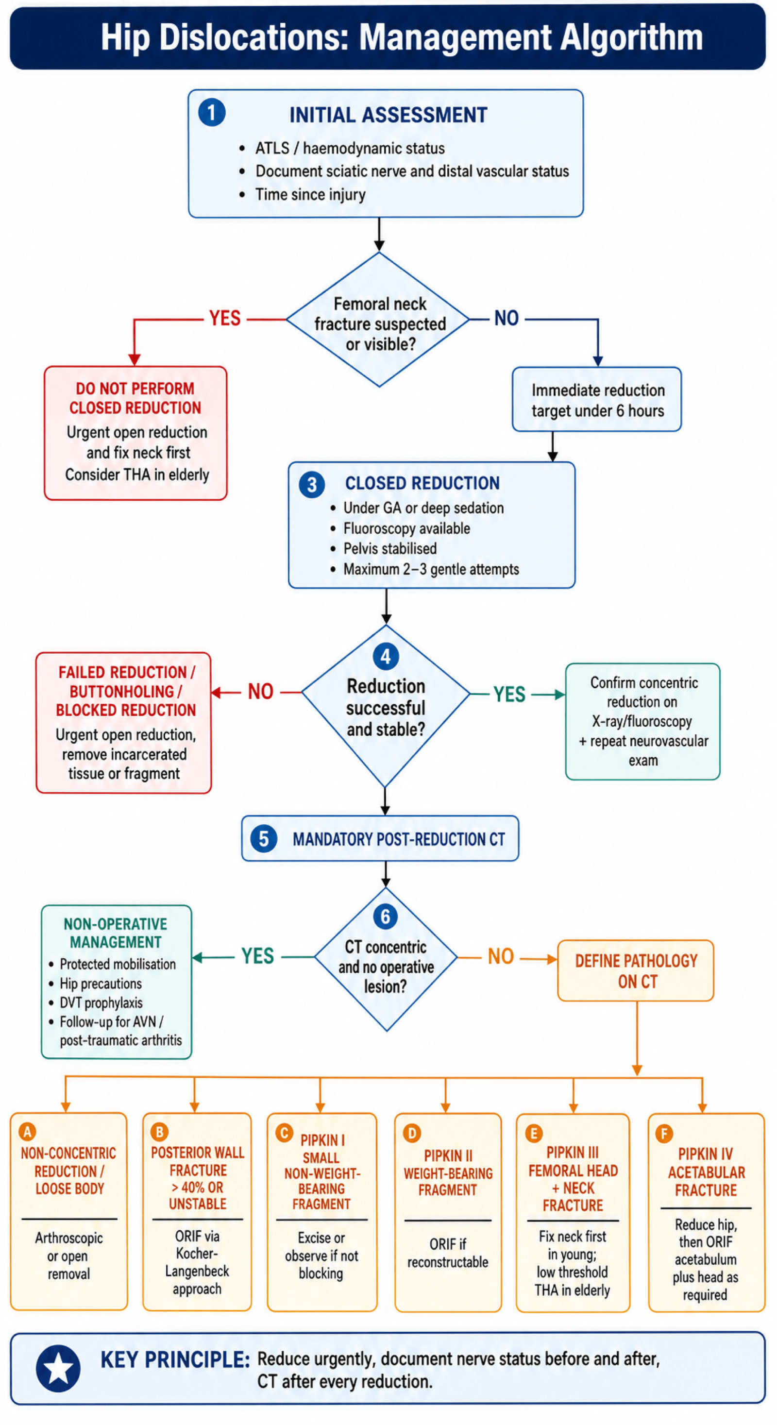 Flowchart: management algorithm for traumatic hip dislocation.