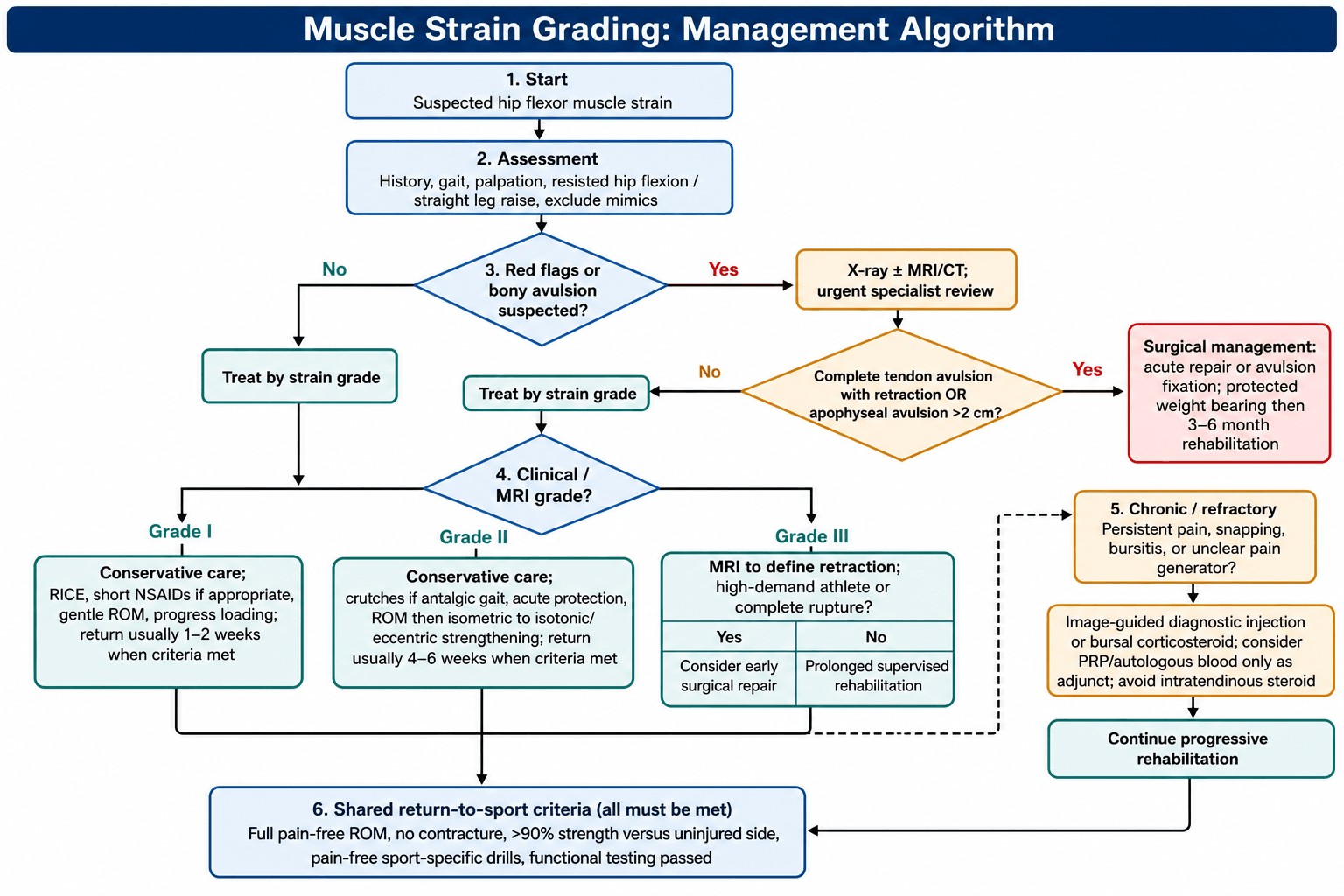 Flowchart for grading and managing hip flexor muscle strains