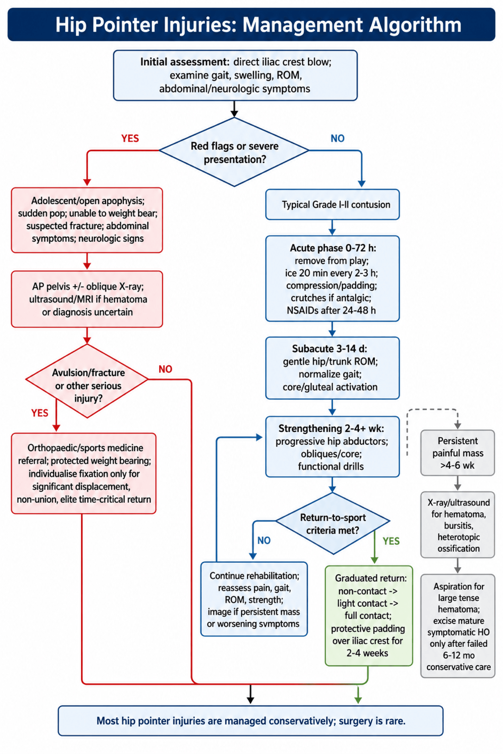 hip pointer injuries management algorithm