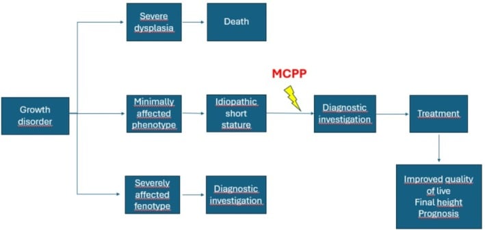 Diagnostic investigation pathway for a patient with short stature