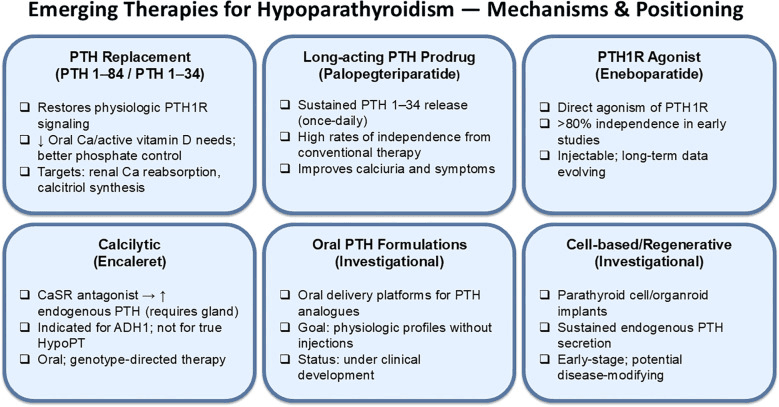 Six-panel summary of emerging hypoparathyroidism therapies: PTH replacement, palopegteriparatide, eneboparatide, encaleret, oral PTH formulations and cell-based approaches