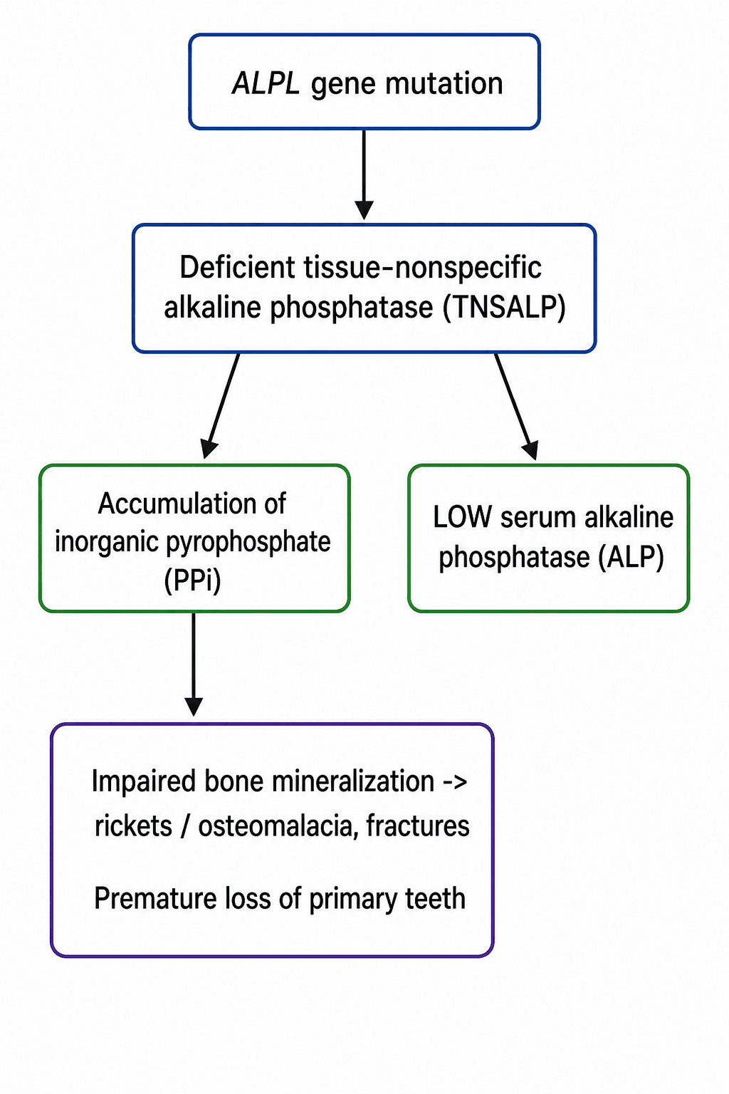 Flowchart of hypophosphatasia pathophysiology: ALPL mutation to deficient TNSALP to PPi accumulation and low ALP to impaired mineralization and tooth loss
