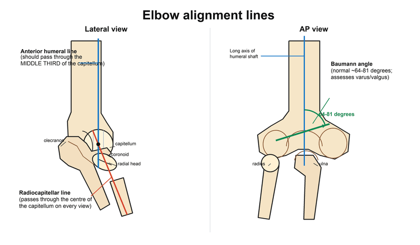 Roger Line Imaging the Elbow | OrthoVellum