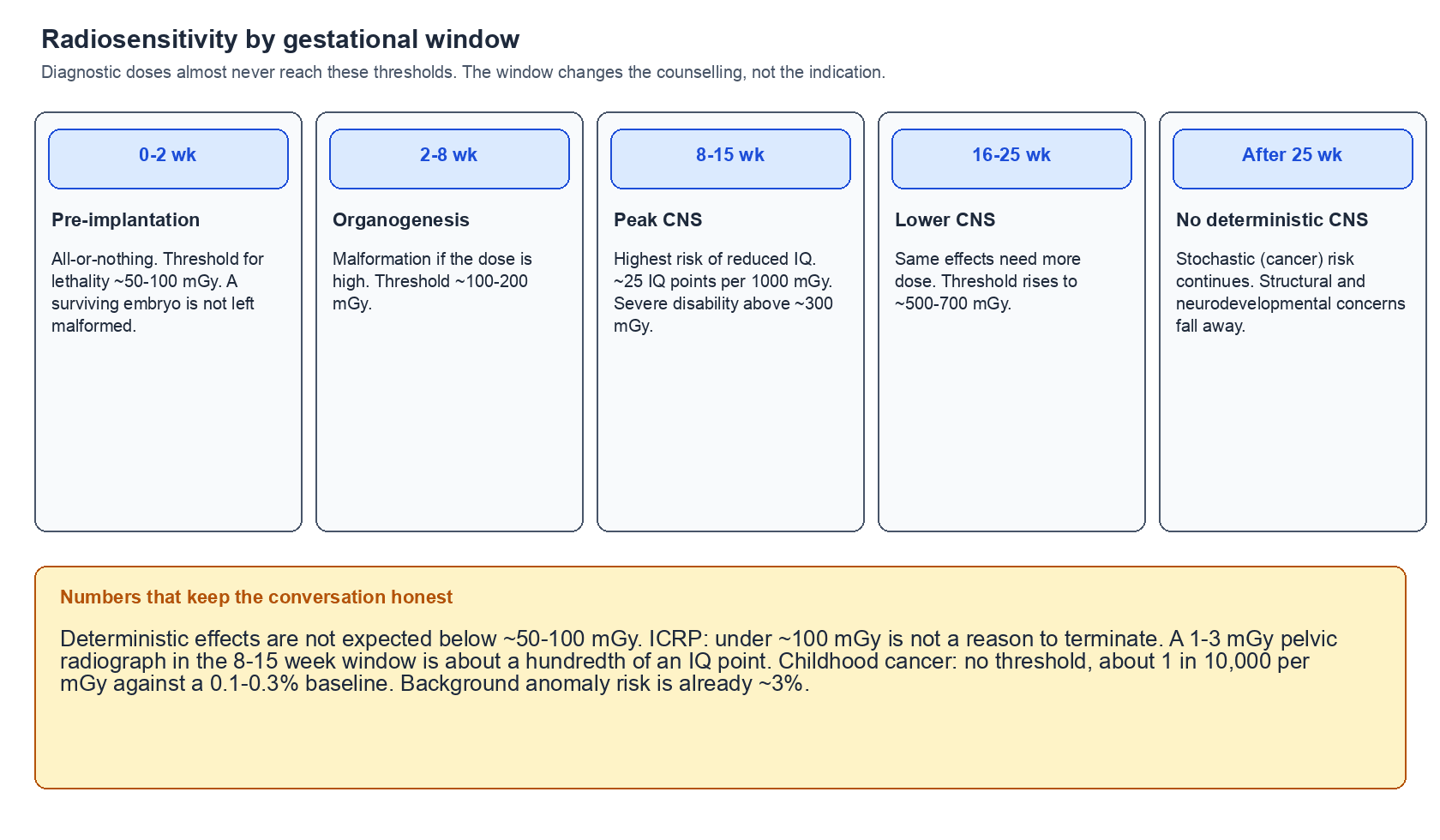 Five gestational windows from pre-implantation to after 25 weeks with their deterministic thresholds, and a panel stating diagnostic doses sit far below them