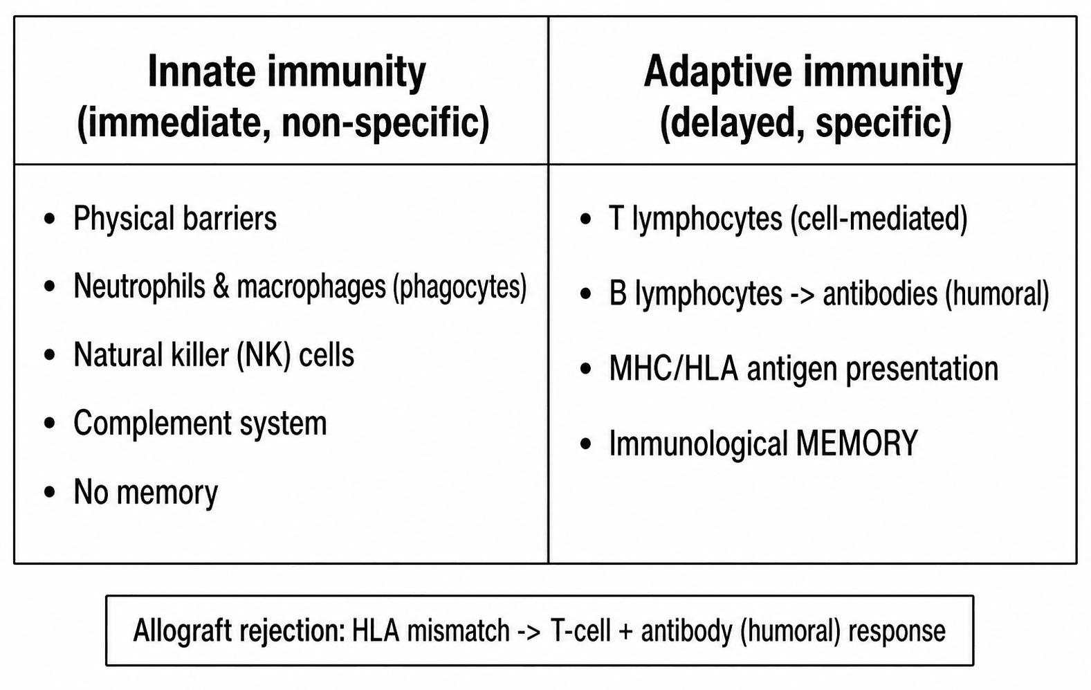 Two-column comparison of innate immunity (barriers, phagocytes, NK cells, complement, no memory) and adaptive immunity (T cells, B cells/antibodies, MHC/HLA, memory) with an allograft rejection note