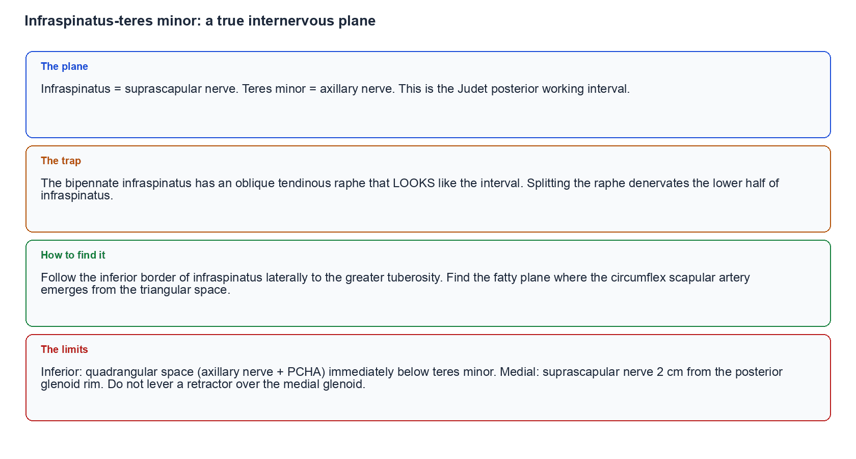 Four-point checklist for the infraspinatus-teres minor internervous interval: the plane, the raphe trap, how to find it, and the medial and inferior limits
