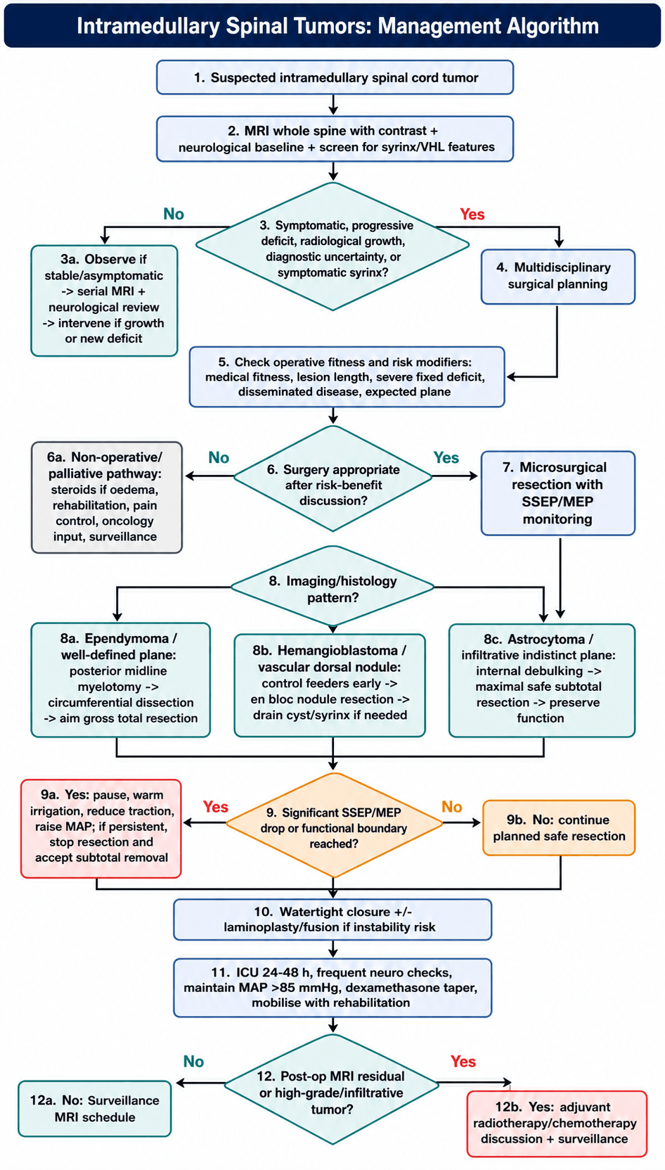 Management algorithm for Intramedullary Tumors
