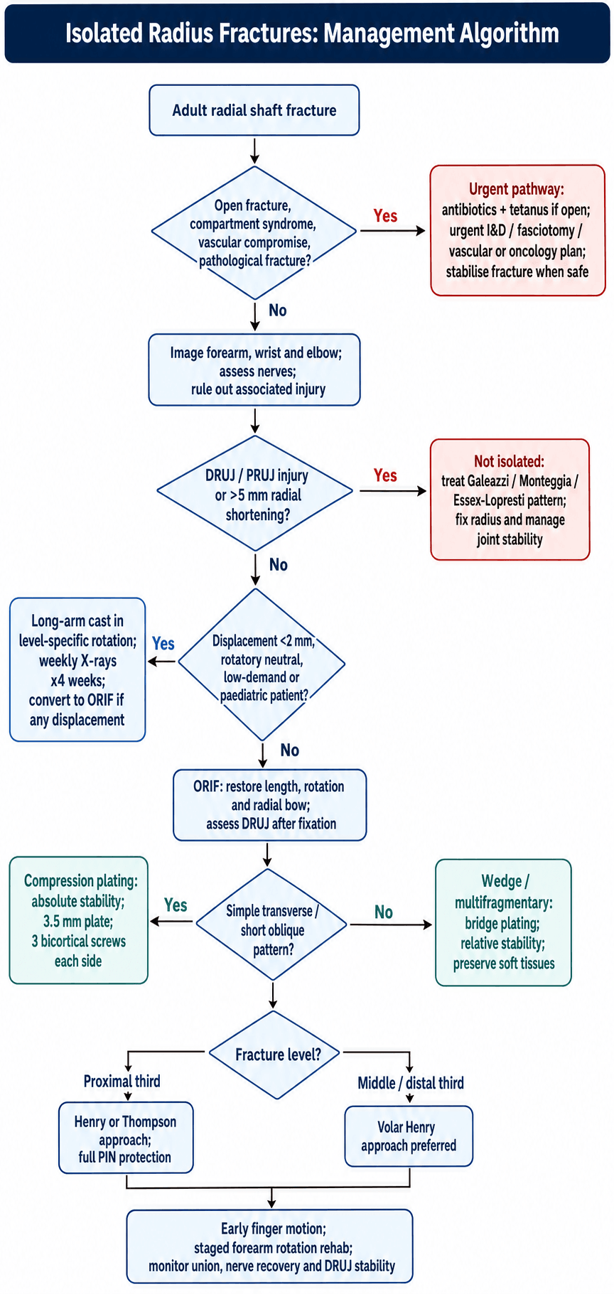 isolated radius fractures management algorithm