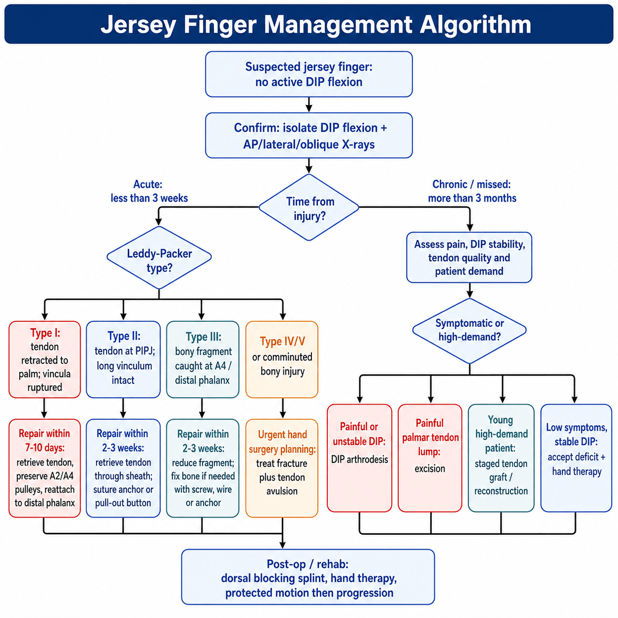 Jersey finger management algorithm flowchart — diagnosis, Leddy-Packer typing of acute injuries, the chronic/missed pathway, and post-operative rehabilitation.