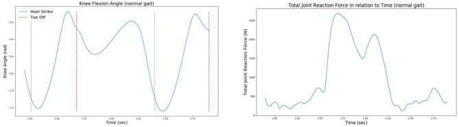 Knee flexion angle and joint reaction force during normal gait cycle
