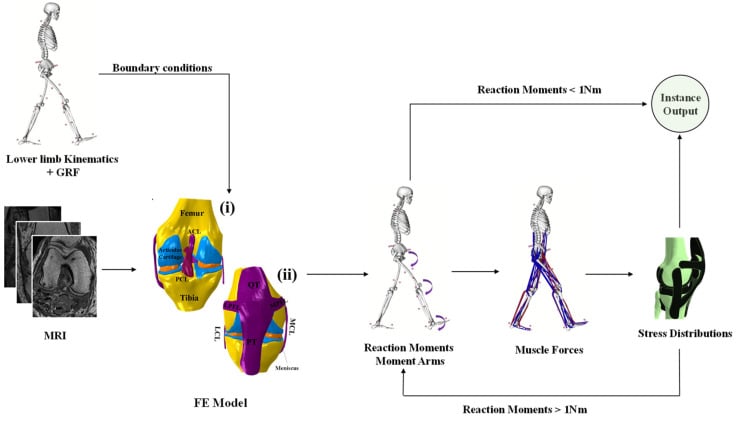 Workflow schematic for computing knee joint reaction forces from kinematics, ground reaction force and an MRI-based finite-element model