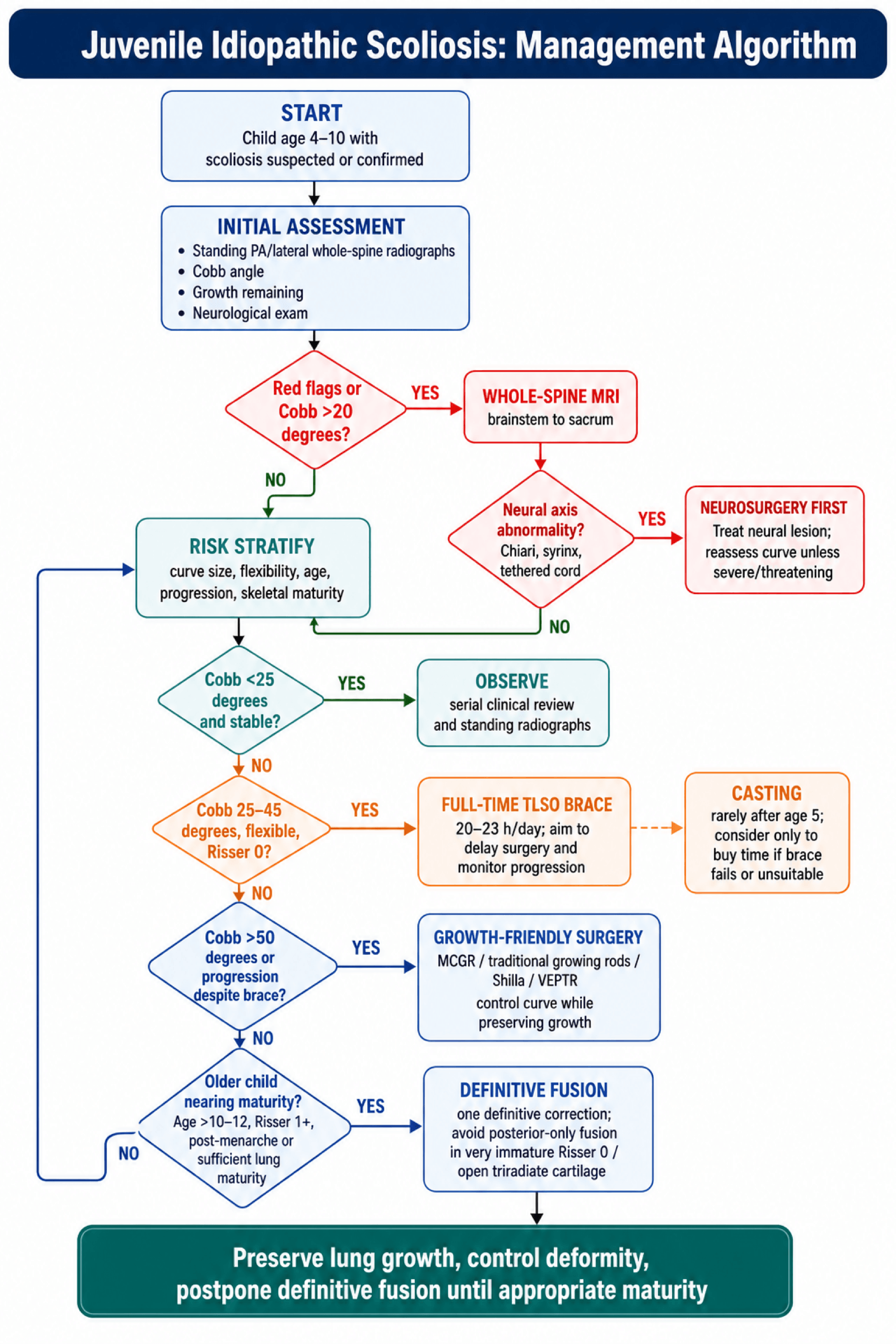 Management algorithm for juvenile idiopathic scoliosis
