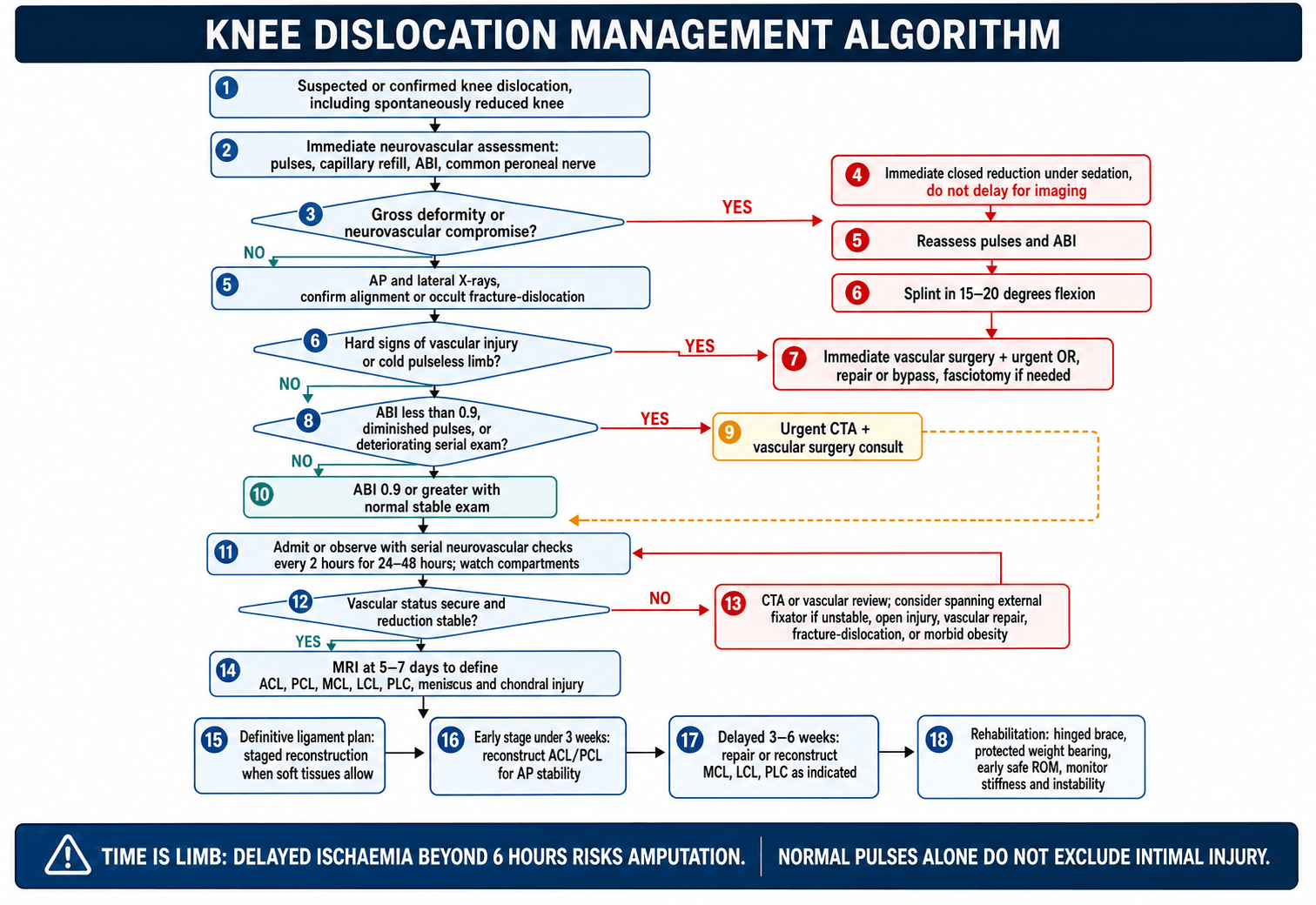 Flowchart: management algorithm for knee dislocation.
