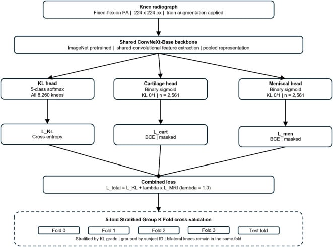 ROC curves evaluating prediction models for structural knee osteoarthritis progression