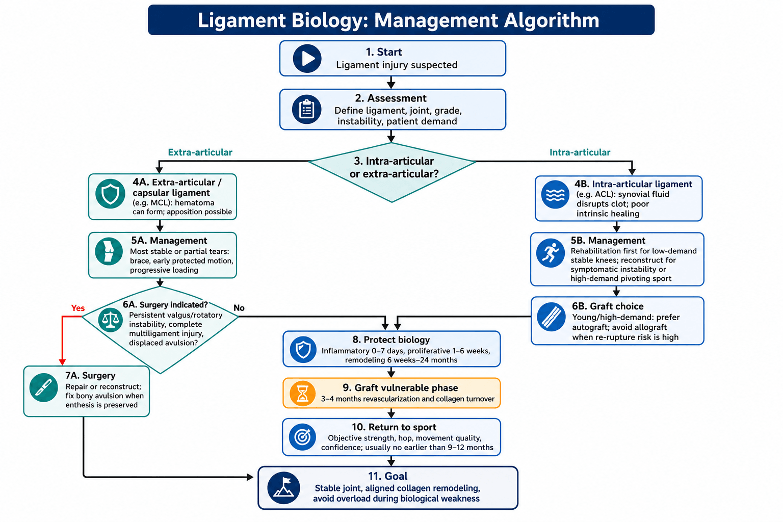 Flowchart: applying ligament biology to injury management.