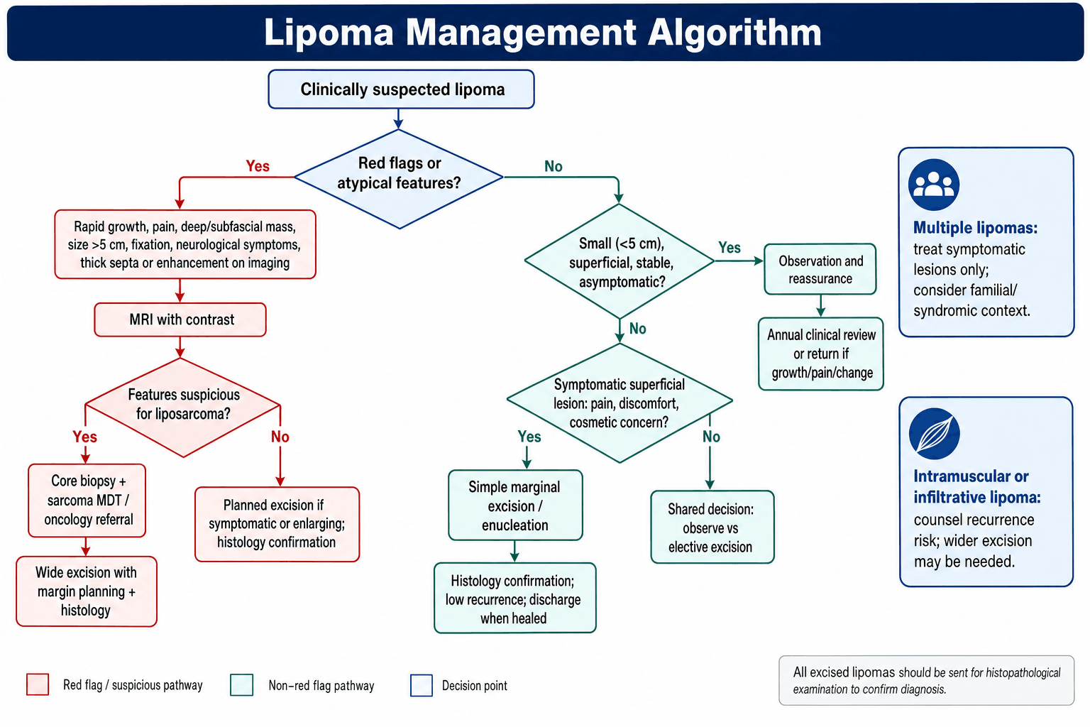 lipoma management algorithm