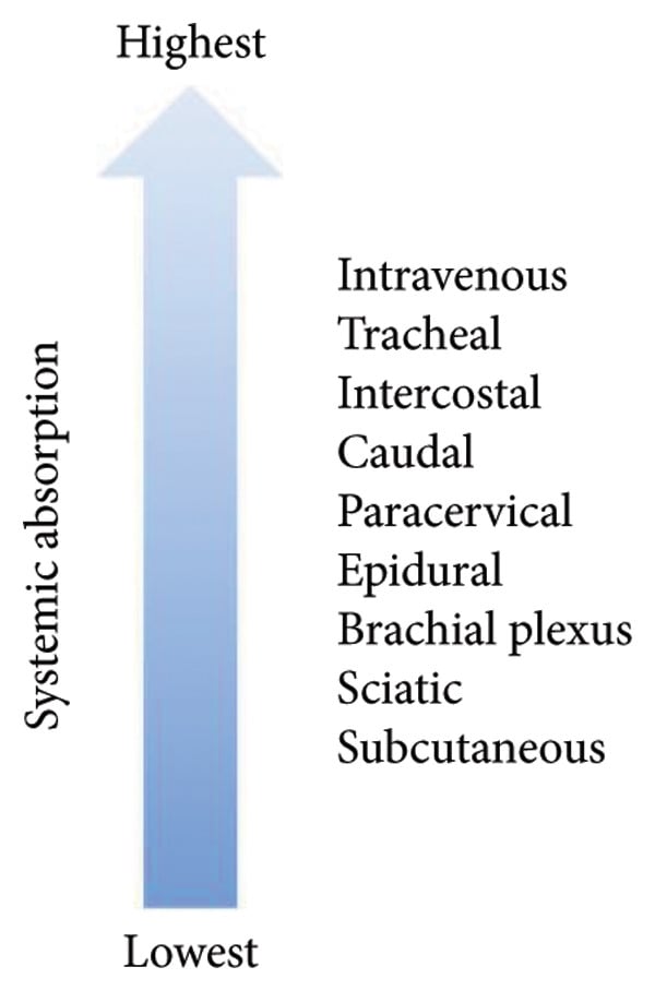 Ranked diagram of local anaesthetic systemic absorption by injection site