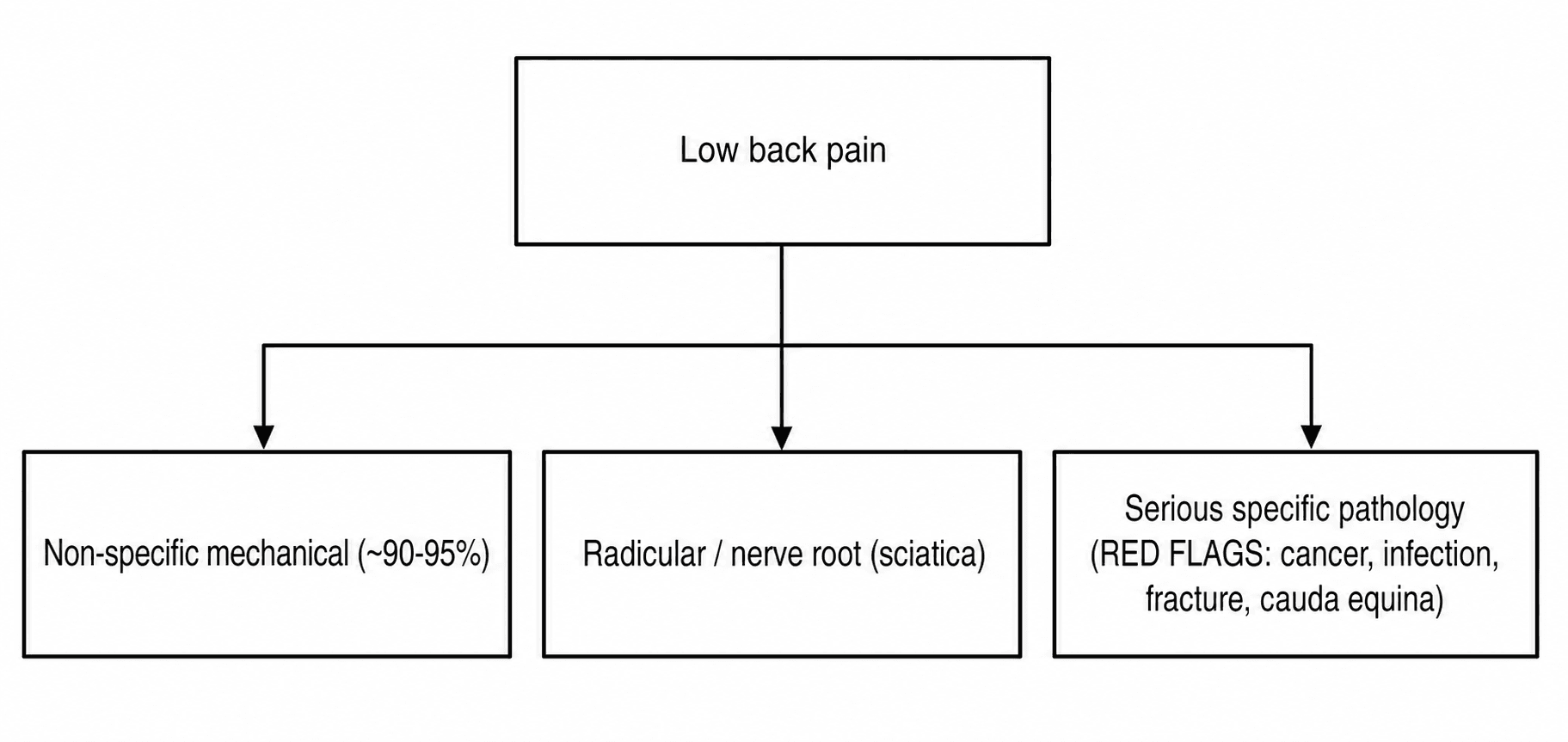 Flowchart of low back pain triage into non-specific mechanical, radicular, and serious specific pathology