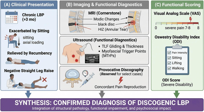 Three-panel framework for diagnosing discogenic low back pain: clinical presentation, imaging and functional diagnostics, and functional scoring