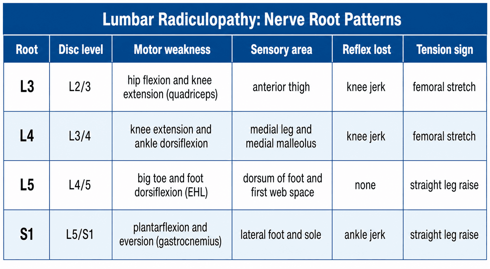 Classification table of lumbar nerve root patterns: root level, disc level, motor weakness, sensory area, reflex lost and tension sign for L3, L4, L5 and S1.