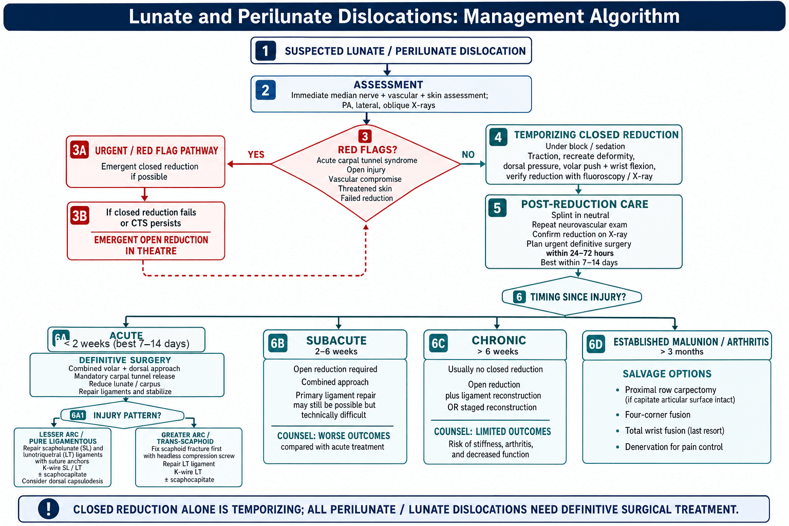 Lunate/perilunate dislocation management algorithm flowchart