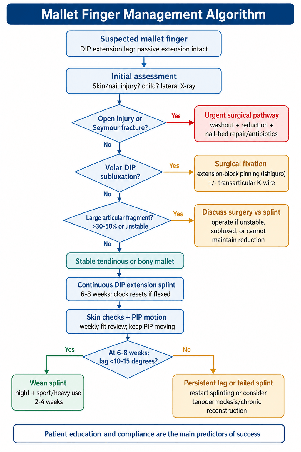 Management algorithm for mallet finger