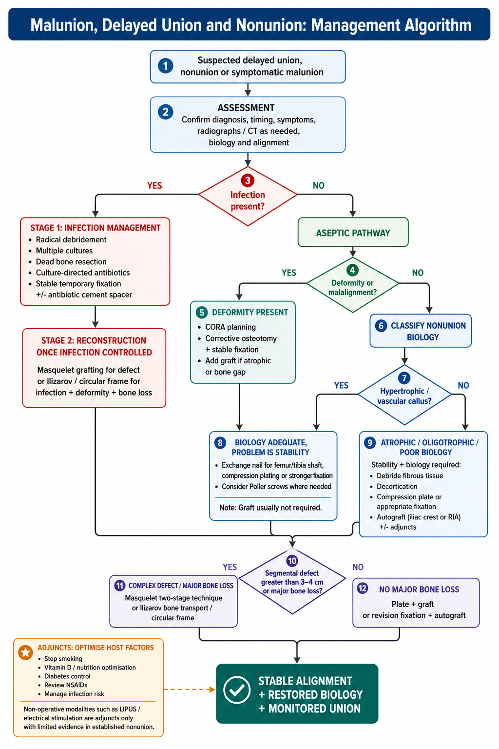 Management algorithm for malunion, delayed union and nonunion, branching on infection, deformity and nonunion biology.