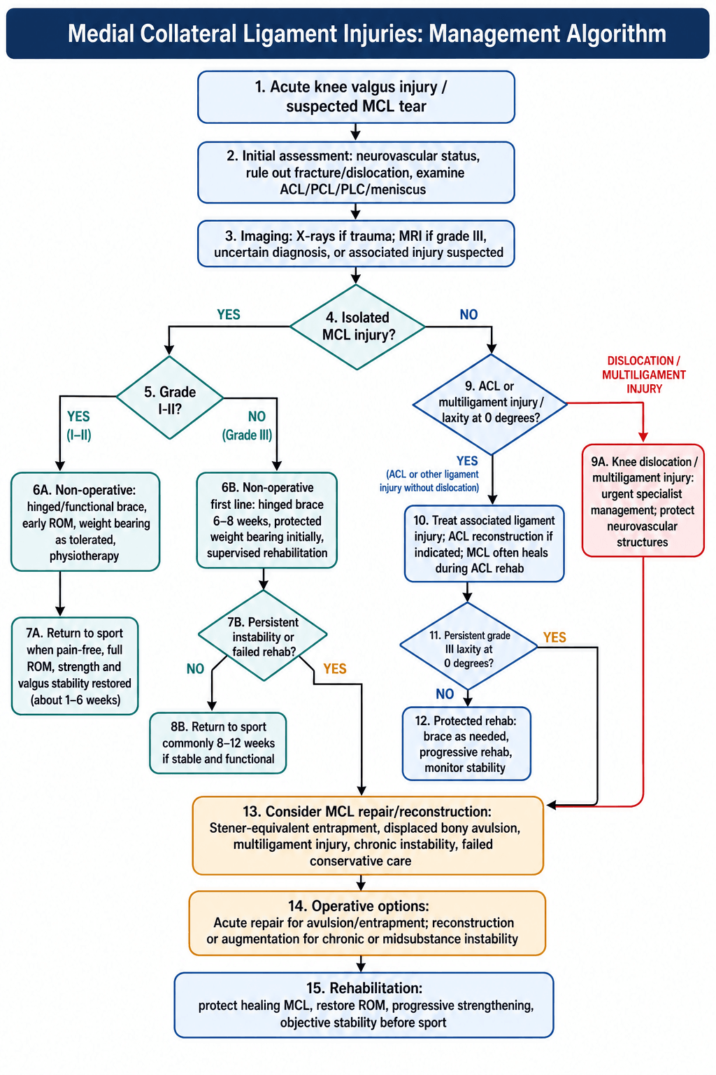 Decision algorithm for acute medial collateral ligament injury assessment, grading, bracing, combined ligament management and selective surgery
