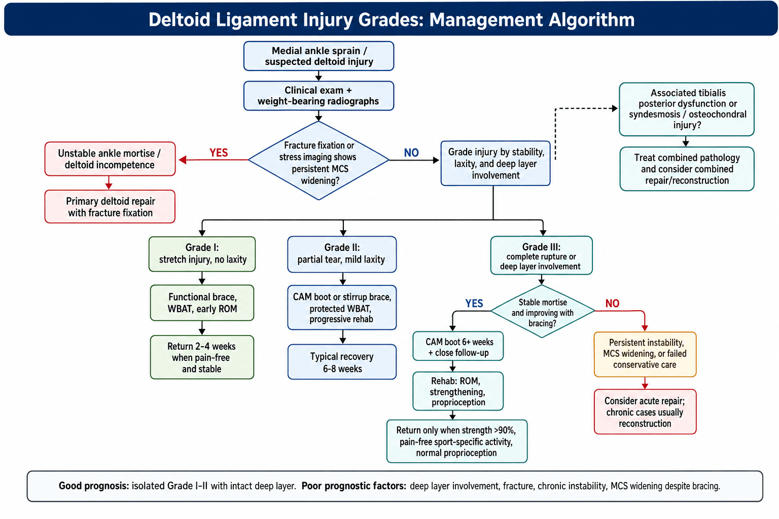 medial ankle sprains management algorithm flowchart