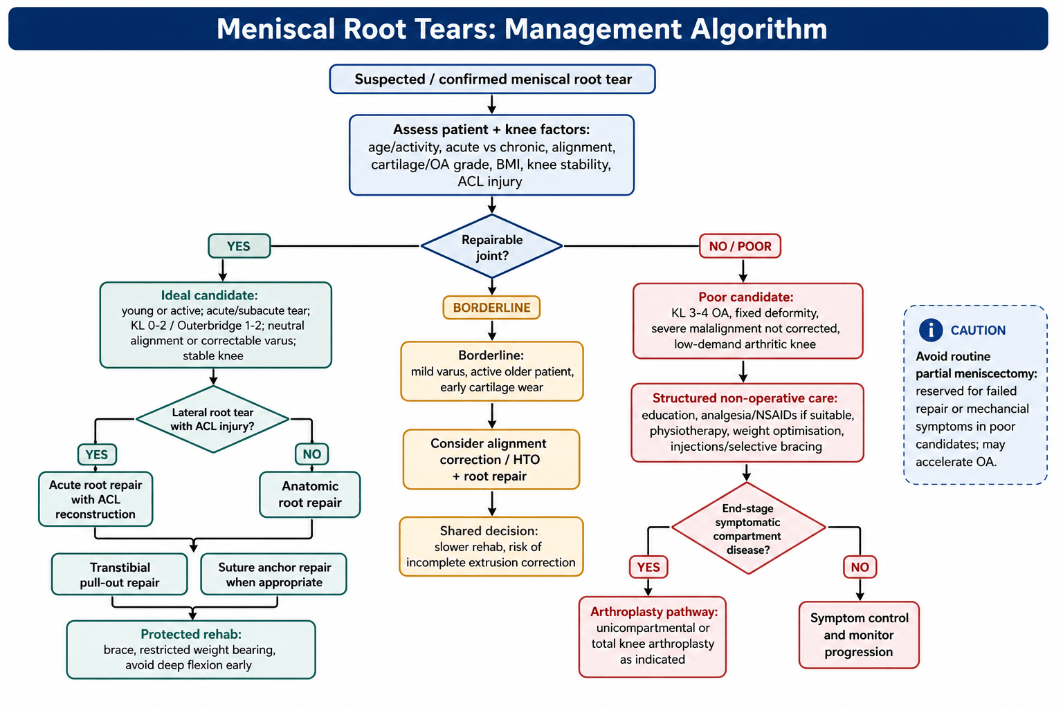 Meniscal root tear management algorithm flowchart