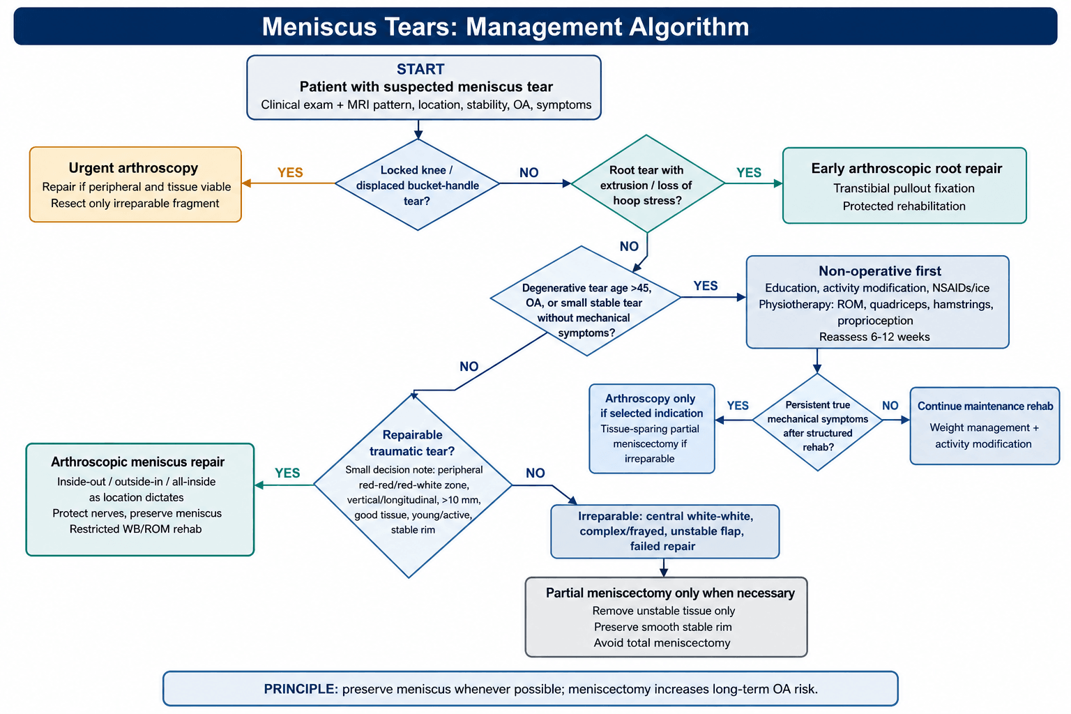 meniscus tears management algorithm
