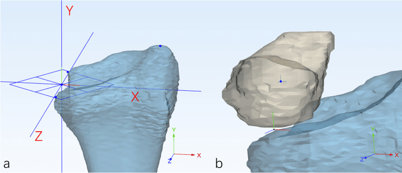 Two panels of three-dimensional bone models: (a) the distal radius with X, Y and Z axes; (b) the lunate with its own local coordinate origin, above the radius