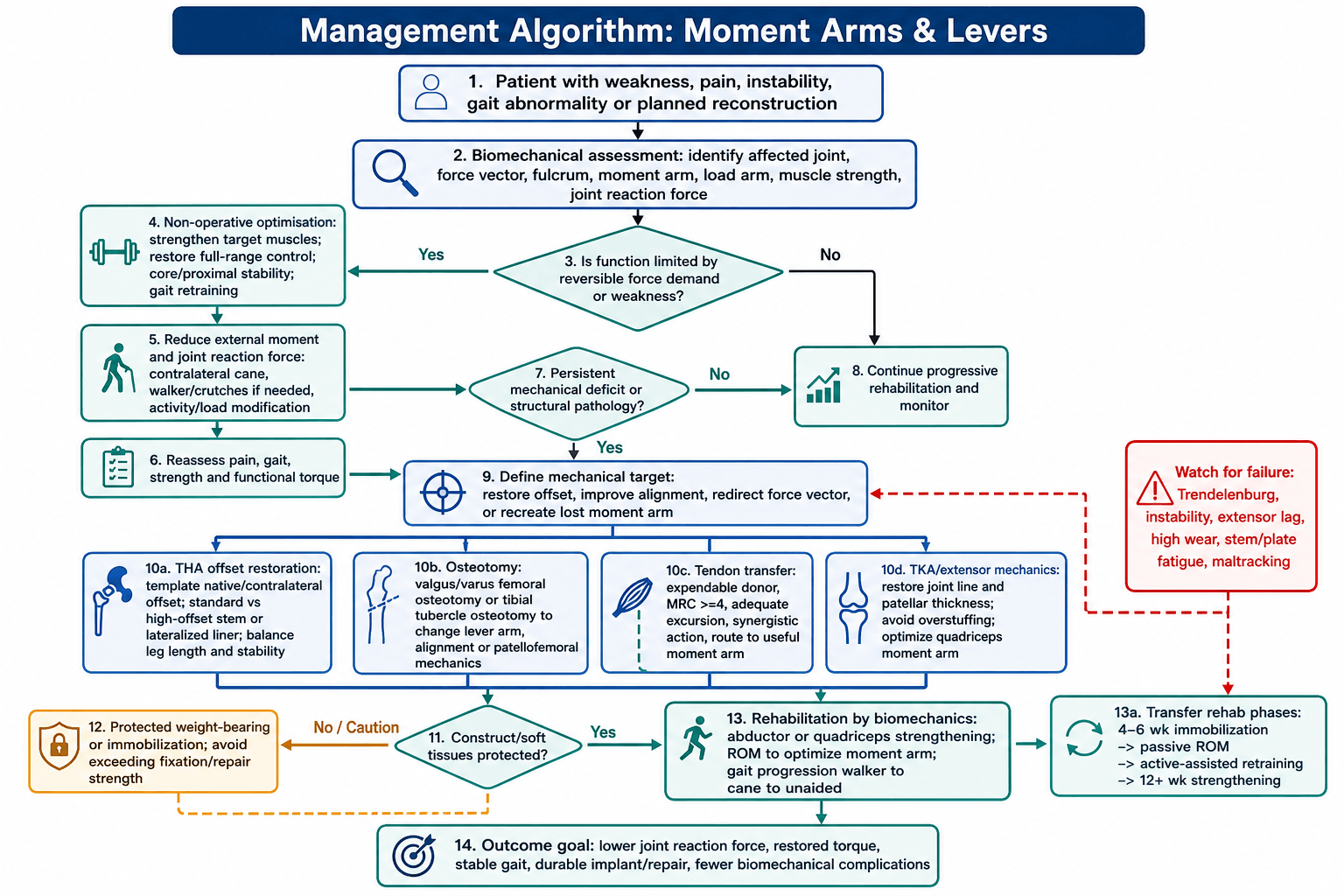 Algorithm for applying moment-arm and lever biomechanics: biomechanical assessment of force vector, fulcrum, moment arm, load arm, muscle strength and joint reaction force; non-operative optimisation (muscle strengthening, gait retraining) and reduction of the external moment and joint reaction force (contralateral cane, walker, activity modification) for reversible deficits; for persistent mechanical deficit or structural pathology, define a mechanical target (restore offset, improve alignment, redirect the force vector, recreate a lost moment arm) addressed by THA offset restoration, femoral/tibial osteotomy, tendon transfer, or TKA extensor-mechanics restoration; protect the construct, then rehabilitate by biomechanics, watching for Trendelenburg, instability, extensor lag, wear and stem/plate fatigue.