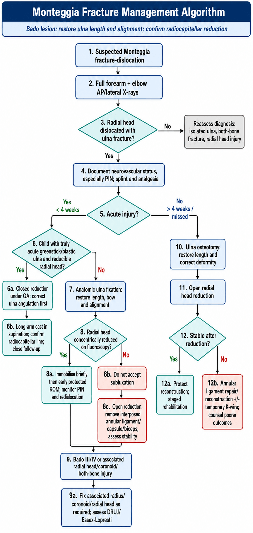 Monteggia Fracture Management Algorithm