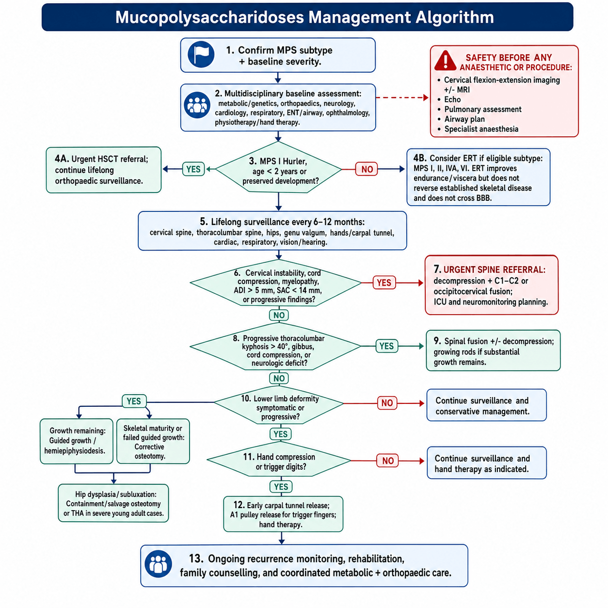Flowchart: management algorithm for the mucopolysaccharidoses.