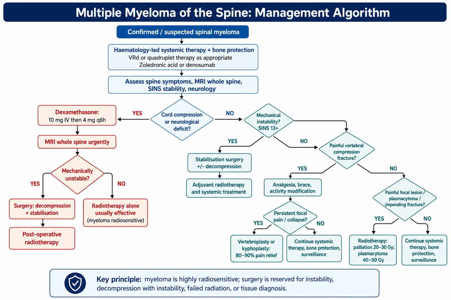 multiple myeloma spine management algorithm