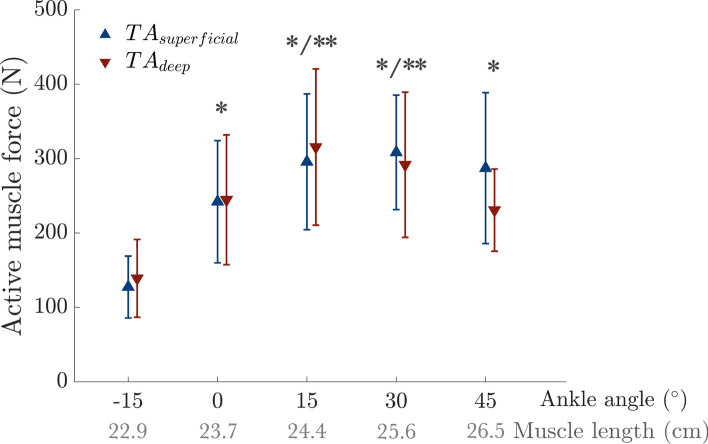 Plot of active tibialis anterior force in newtons for the superficial and deep parts against ankle angle from minus 15 to 45 degrees, with muscle length from 22.9 to 26.5 cm beneath