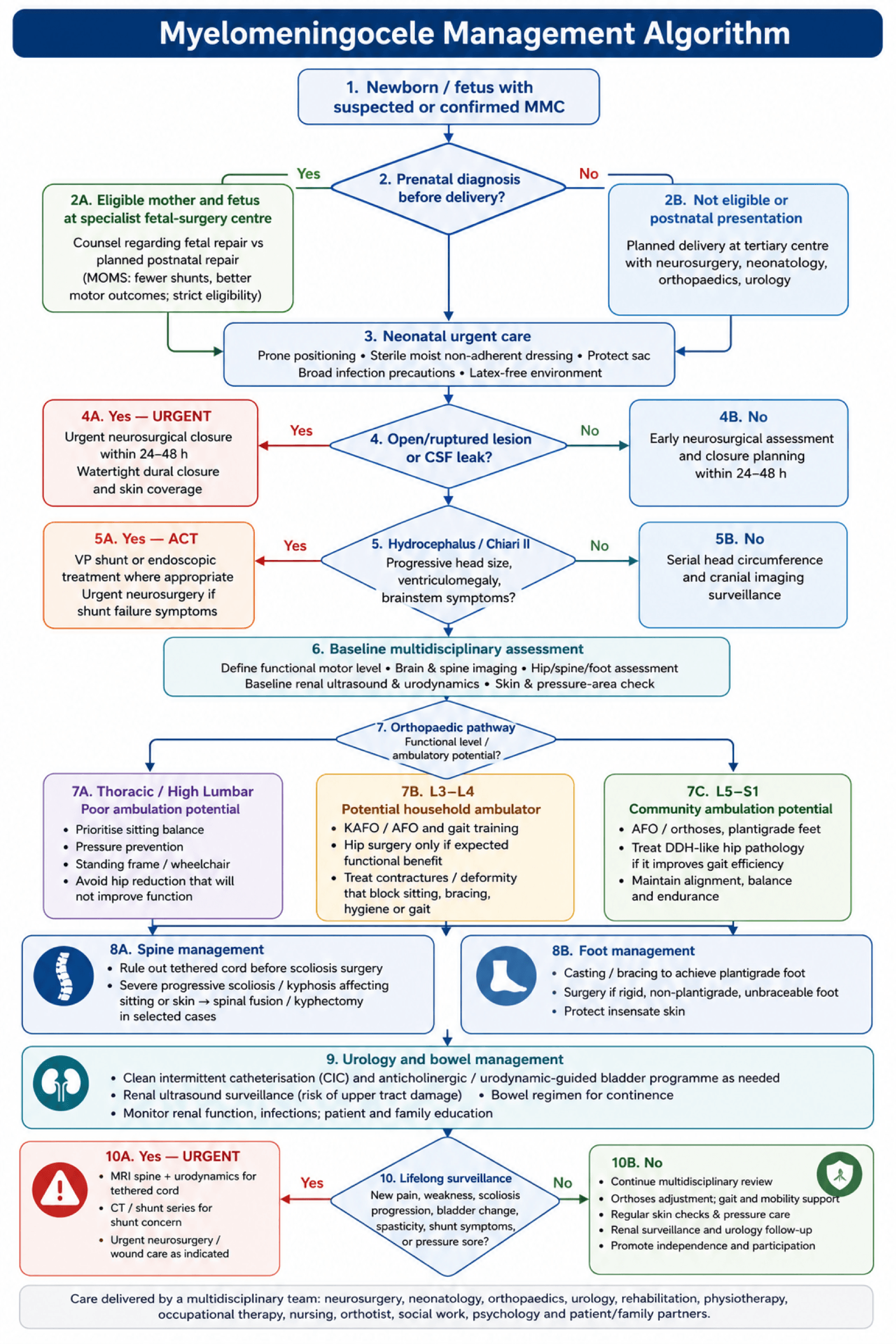 Myelomeningocele management algorithm