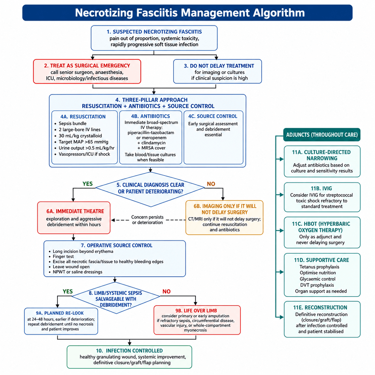 Flowchart: emergency management algorithm for necrotizing fasciitis.