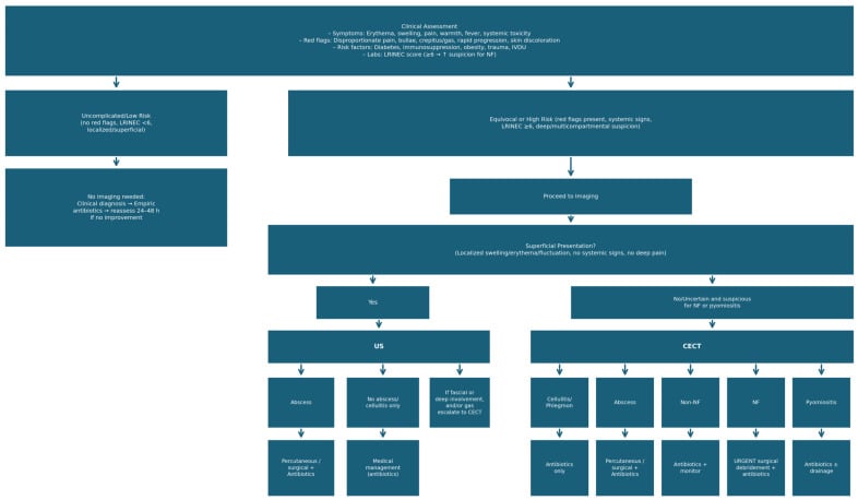 Flowchart algorithm for diagnostic and management principles in necrotizing soft tissue infections