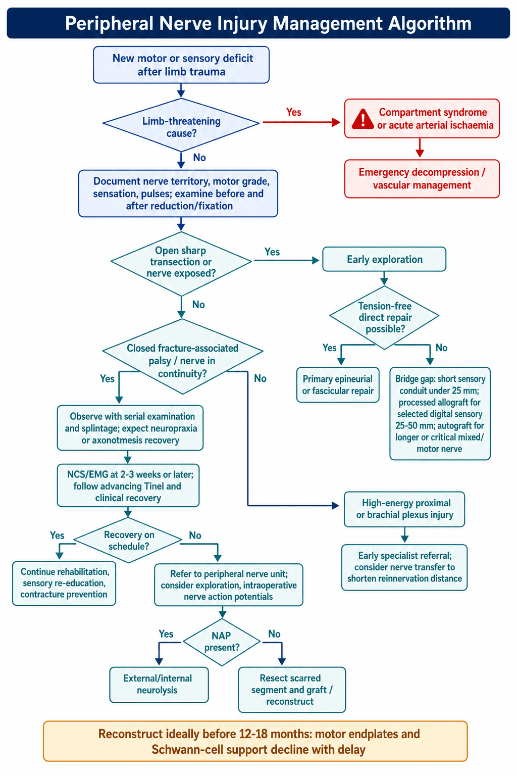 Flowchart: management algorithm for a peripheral nerve injury.
