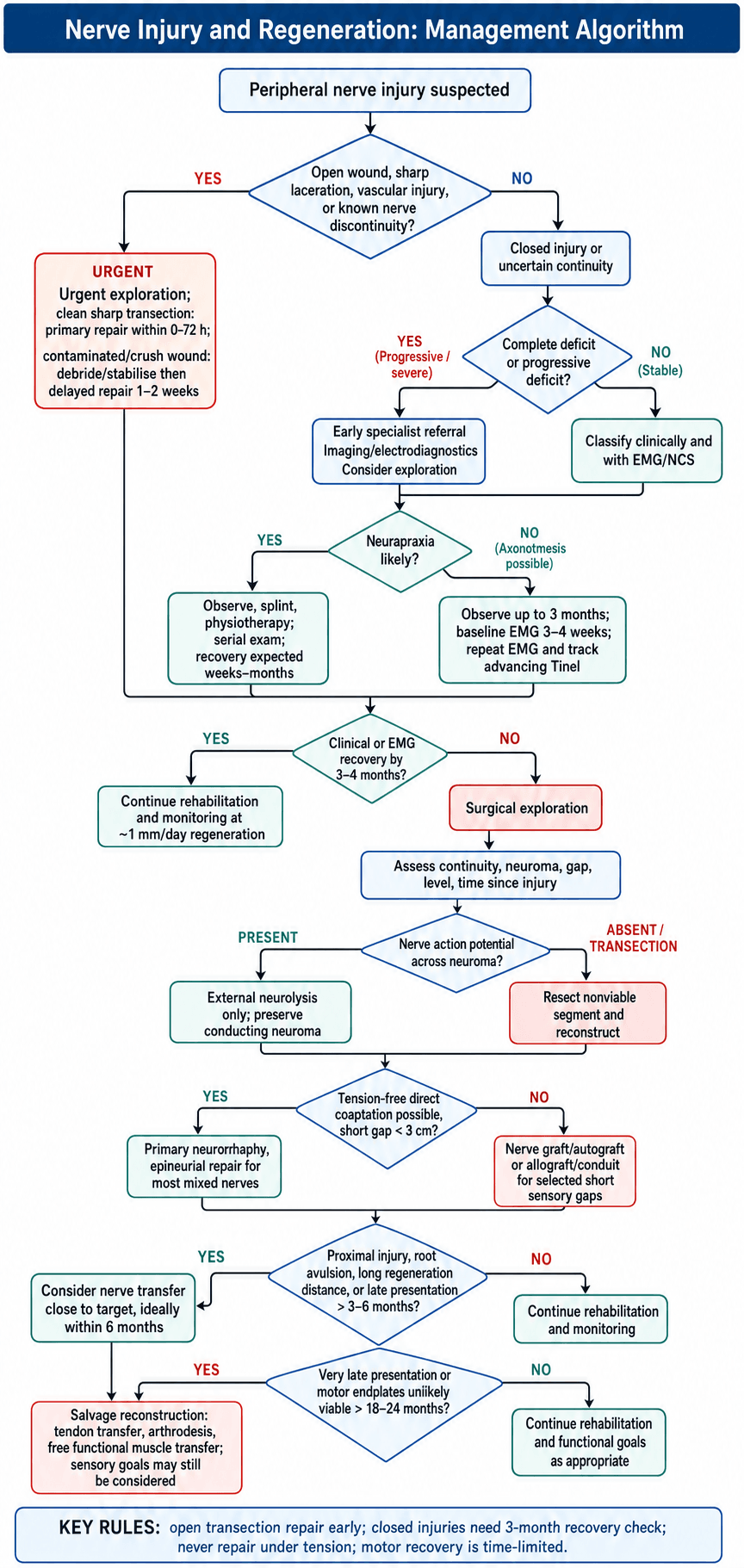 Decision algorithm for peripheral nerve injury: open sharp transection or vascular injury triggers urgent exploration and primary repair within 0-72 hours (delayed 1-2 weeks for contaminated wounds); closed or uncertain injuries are triaged by deficit, observed if neurapraxia is likely, and reassessed clinically and with EMG by 3-4 months; failure to recover prompts surgical exploration, with nerve action potential across a neuroma guiding neurolysis versus resection and reconstruction; tension-free direct coaptation is used for short gaps under 3 cm, otherwise graft or conduit, with nerve transfer within 6 months and salvage reconstruction beyond 18-24 months.