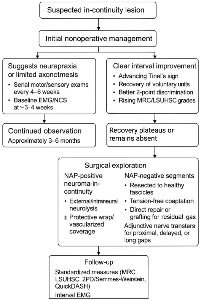 Clinical pathway for serial assessment and exploration of a peripheral nerve lesion in continuity