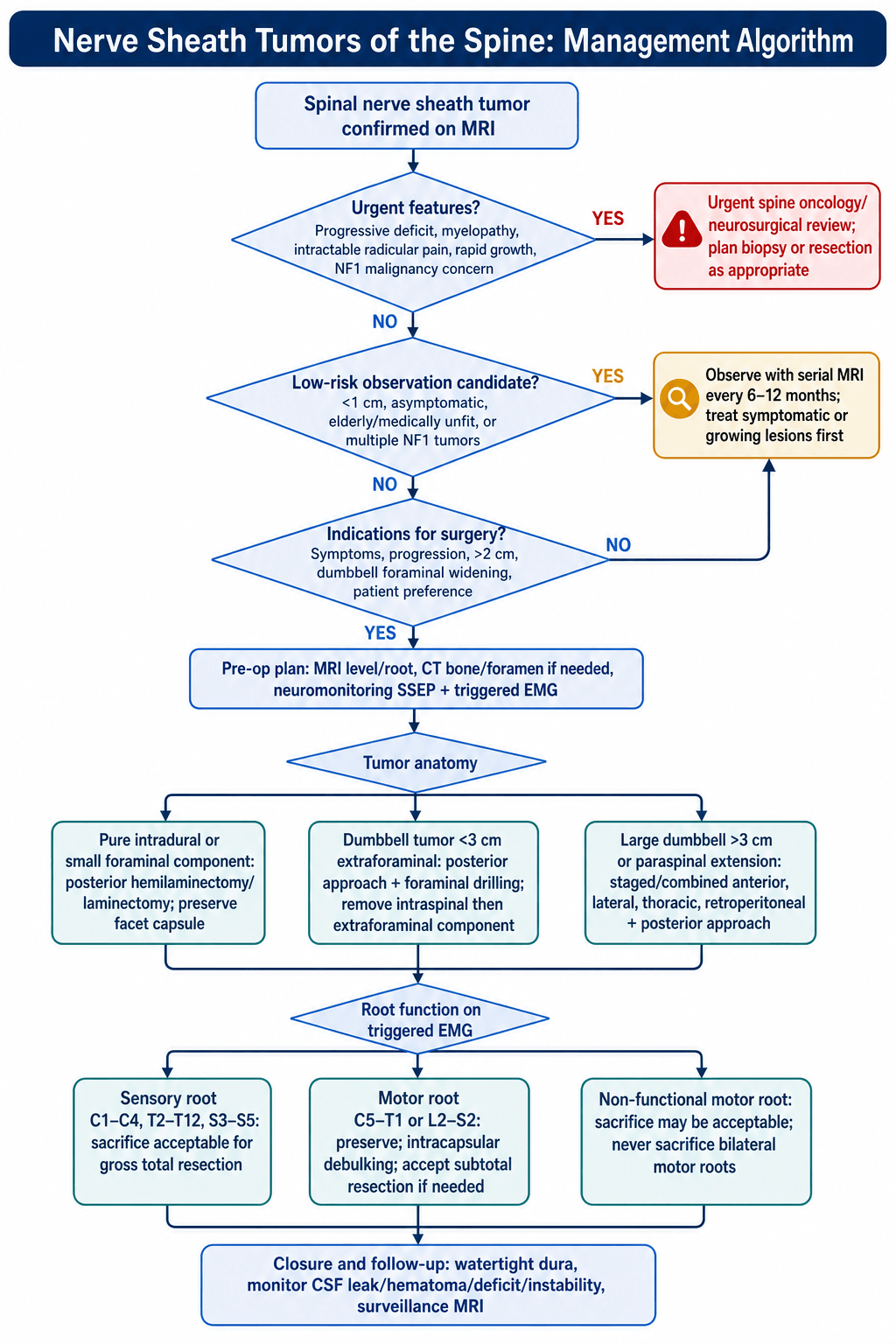 Flowchart for managing a spinal nerve sheath tumour confirmed on MRI, branching on urgent features, observation candidacy, surgical indications, tumour anatomy, and root function on triggered EMG.