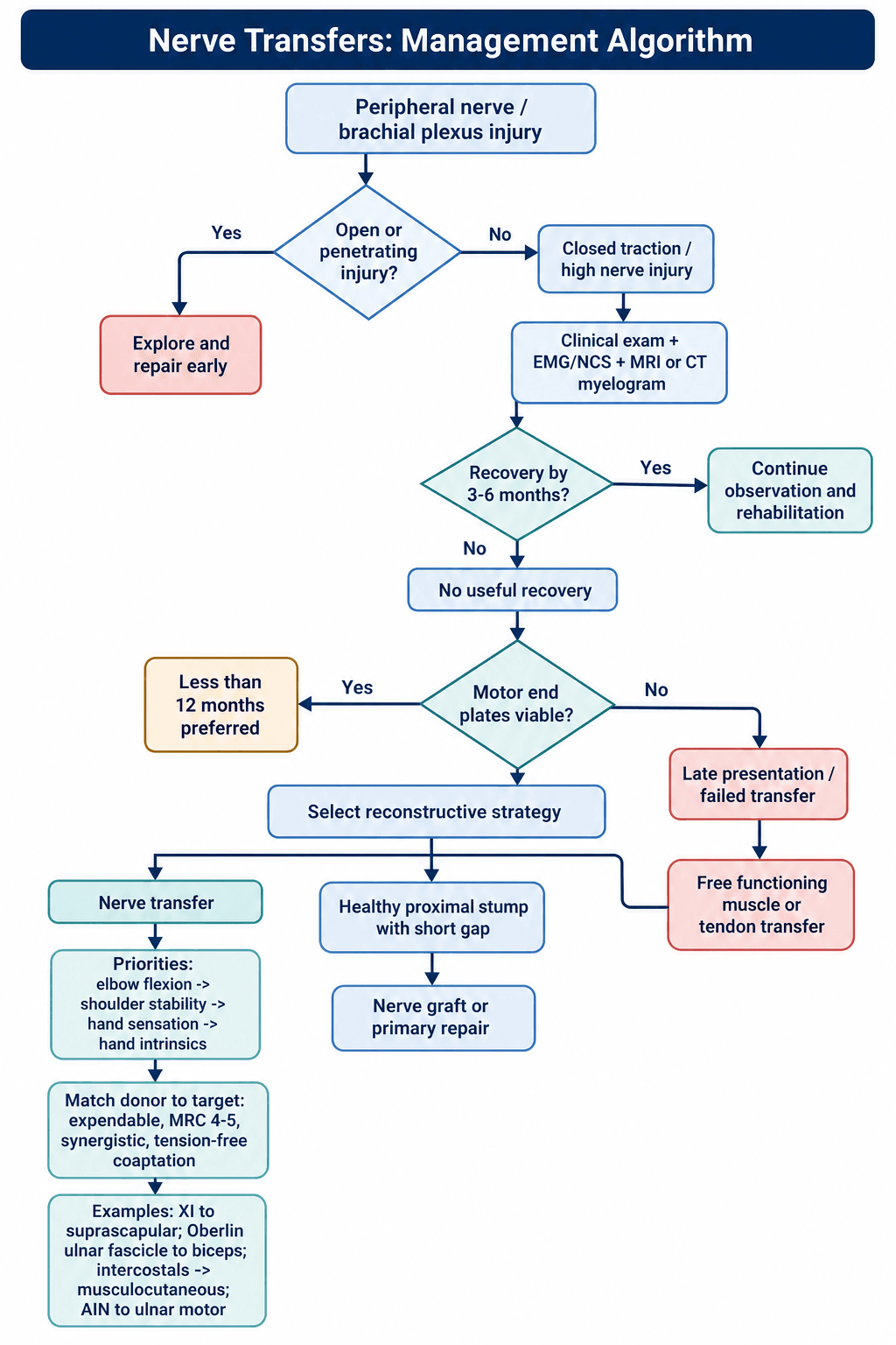 Flowchart for managing a nerve injury: open injury to early repair; closed/high injury to investigation, observation, then reconstructive strategy