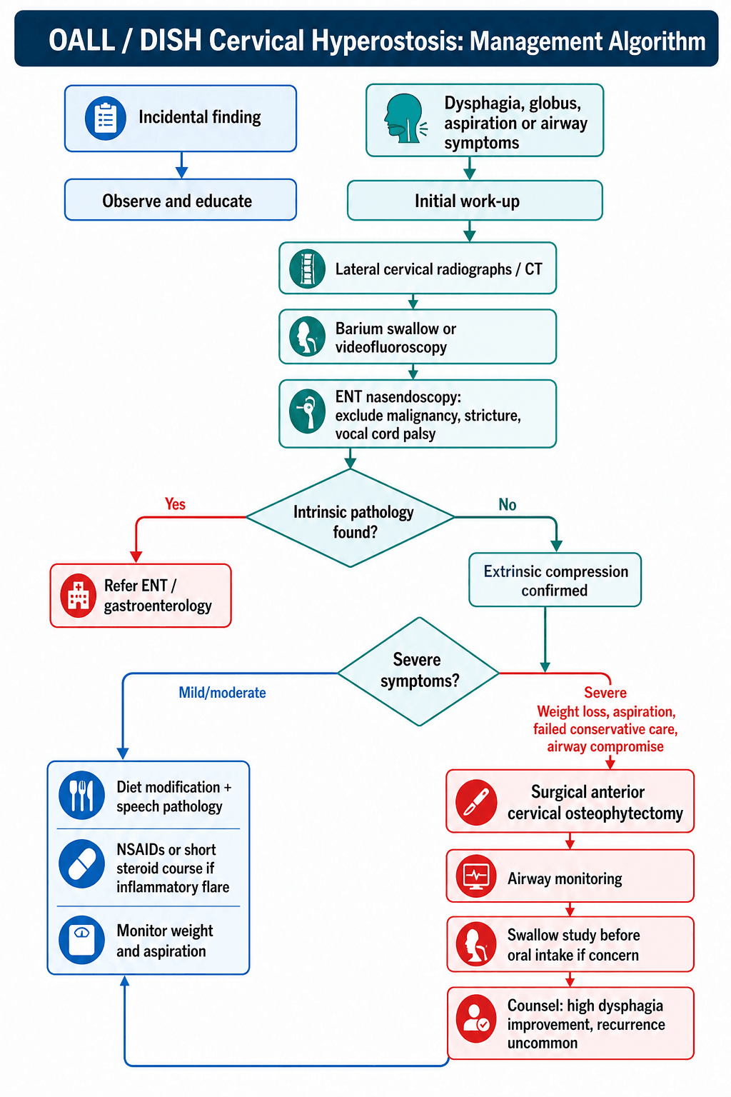 OALL/DISH cervical hyperostosis management algorithm: incidental finding observed, versus symptomatic dysphagia/airway work-up (radiographs/CT, barium swallow, ENT nasendoscopy), excluding intrinsic pathology, then conservative care for mild/moderate disease or anterior osteophytectomy for severe symptoms.