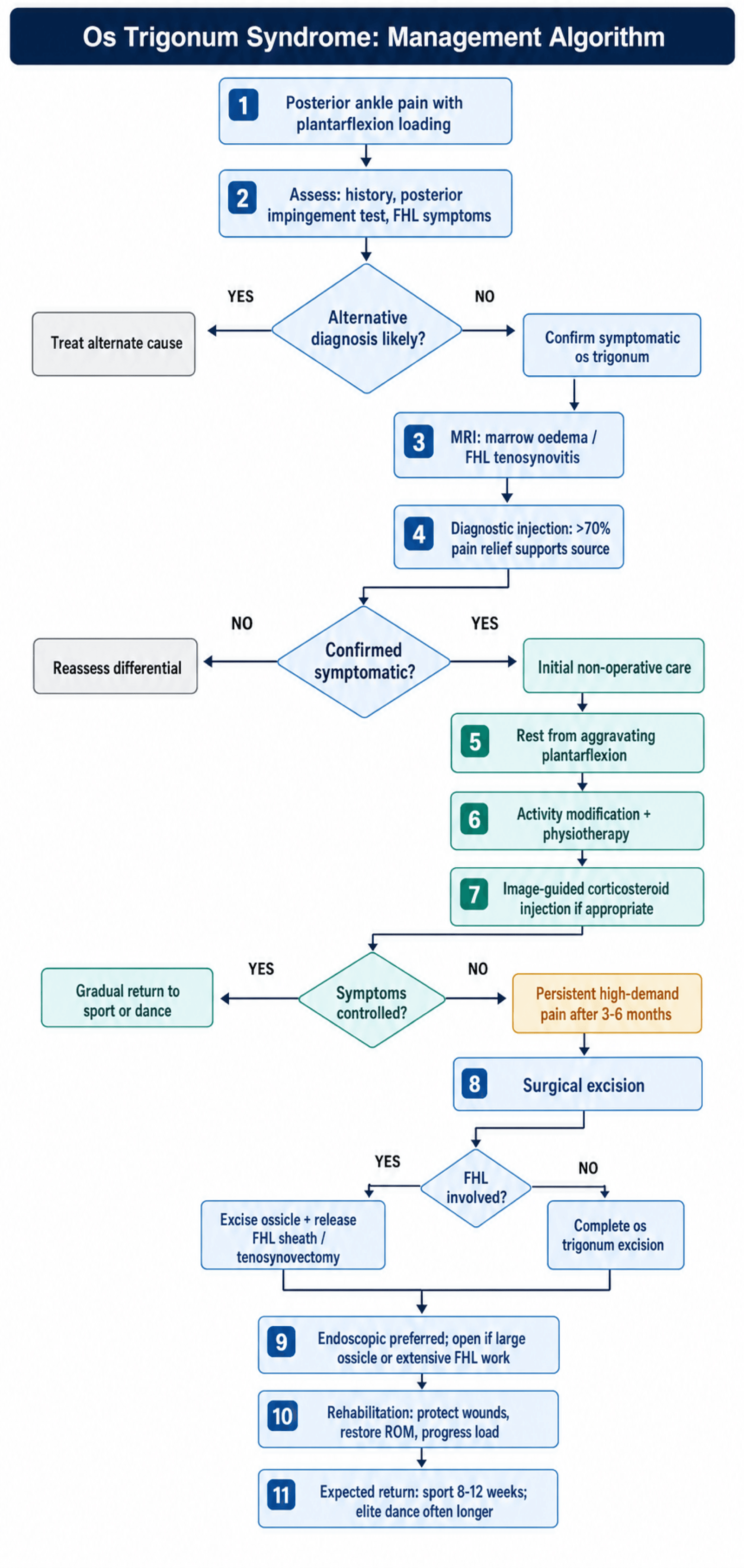 Os trigonum syndrome management algorithm branching by differential diagnosis, confirmation of a symptomatic ossicle, conservative response and FHL involvement.