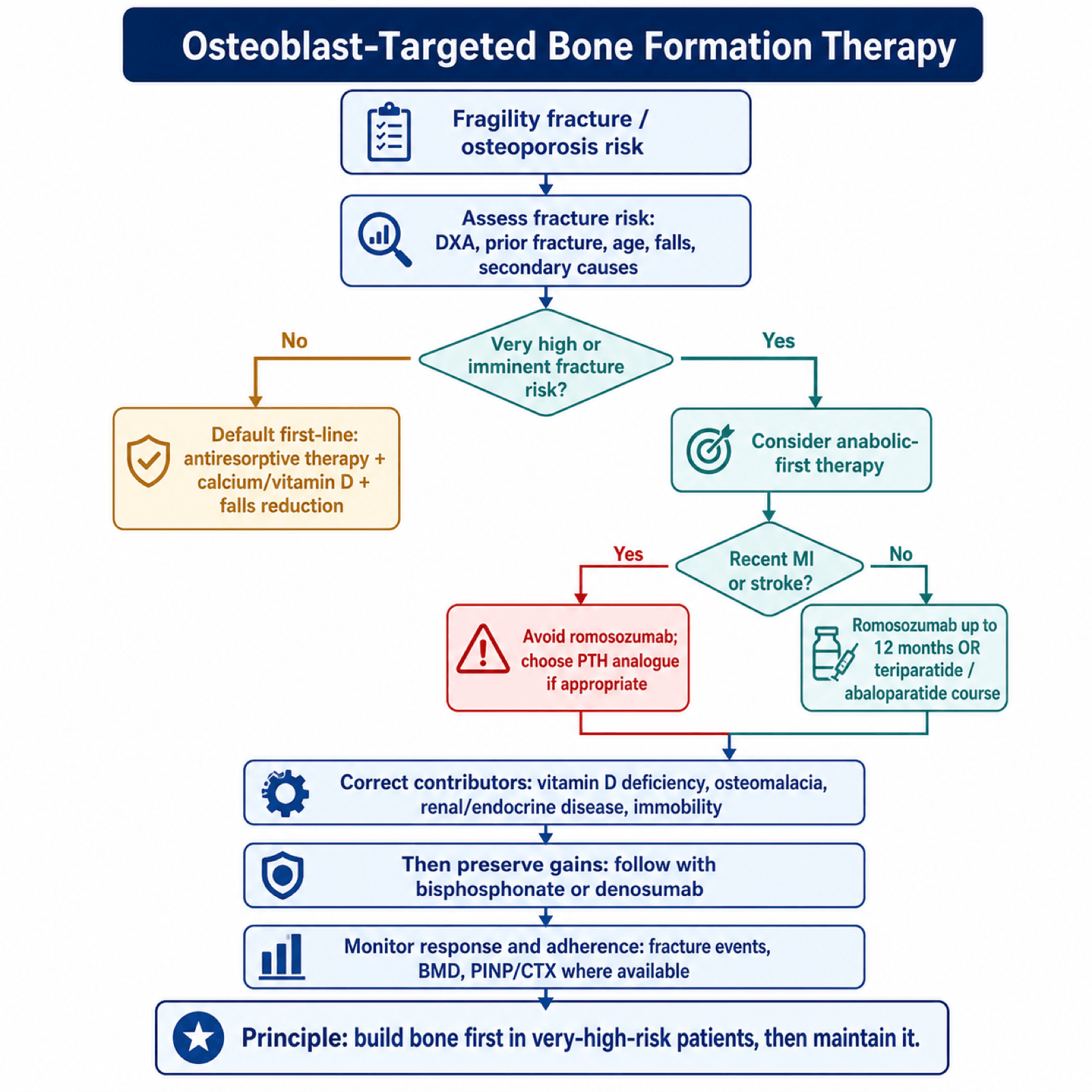 Flowchart of osteoblast-targeted (anabolic) therapy for high fracture-risk osteoporosis.