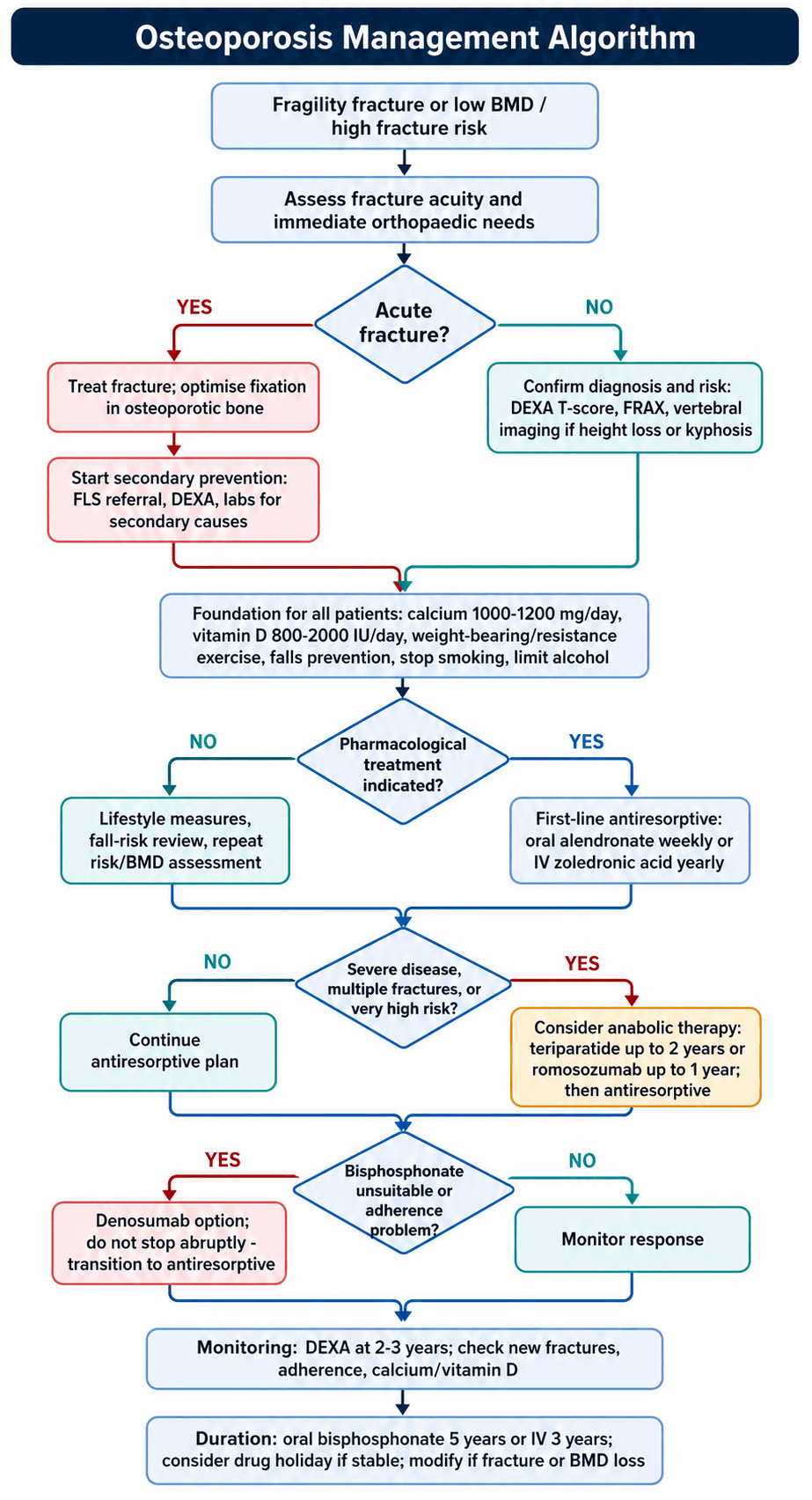 osteoporosis management algorithm flowchart